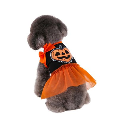 ZooVenture Costume de Halloween pour Chat et Chien