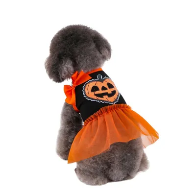 ZooVenture Costume de Halloween pour Chat et Chien ZooVenture Costume de Halloween pour Chat et Chien