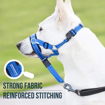ZooVenture Licol pour chien avec sangle de sécurité ZooVenture Licol pour chien avec sangle de sécurité
