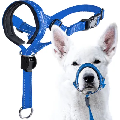 ZooVenture Licol pour chien avec sangle de sécurité ZooVenture Licol pour chien avec sangle de sécurité