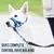 ZooVenture Licol pour chien avec sangle de sécurité ZooVenture Licol pour chien avec sangle de sécurité