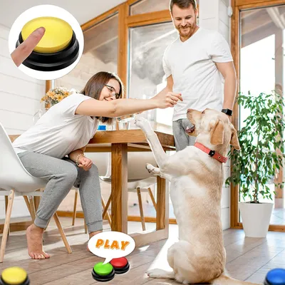 ZooVenture Bouton de communication pour animaux de compagnie