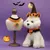ZooVenture Halloween Collerette  pour chat et chien