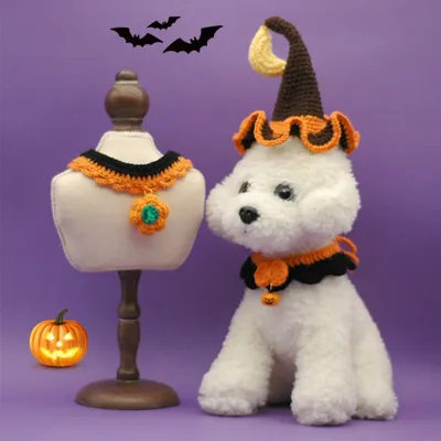 ZooVenture Halloween Collerette  pour chat et chien