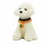 ZooVenture Halloween Collerette  pour chat et chien