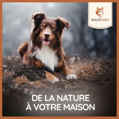 Wildfang Bois de cerf naturel imprégné d'huile de saumon