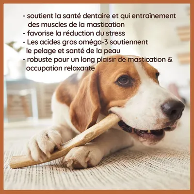 Wildfang Bois de cerf naturel imprégné d'huile de saumon