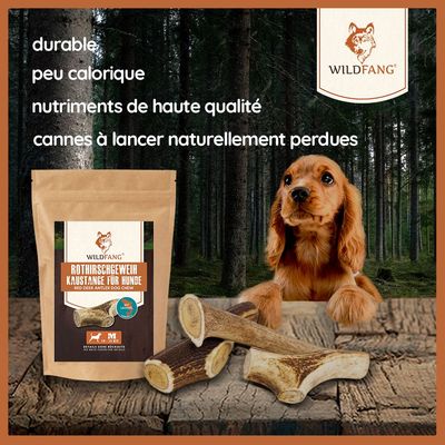 Bois de cerf à mâcher au saumon Wildfang — 3 pièces