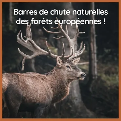 Wildfang Bois de cerf naturel imprégné d'huile de saumon