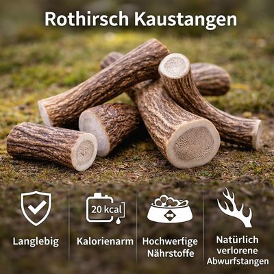 Wildfang Kaugeweih Rothirsch mit Lachsöl