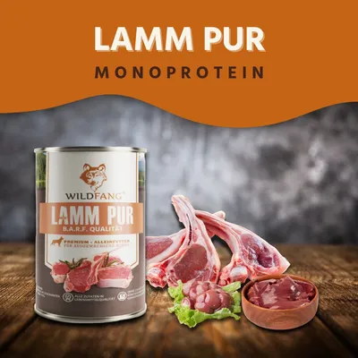 Wildfang 6 x 800 g — Pâtée chien B.A.R.F., 70 % viande, sans céréales