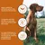Wildfang 6 x 800 g — Pâtée chien B.A.R.F., 70 % viande, sans céréales