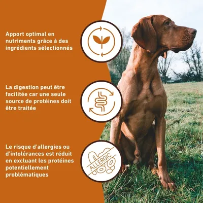 Wildfang 6 x 800 g — Pâtée chien B.A.R.F., 70 % viande, sans céréales