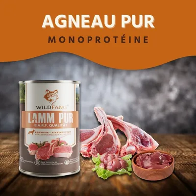 Wildfang 6 x 800 g — Pâtée chien B.A.R.F., 70 % viande, sans céréales