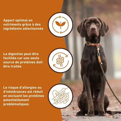 Wildfang 6 x 800 g — Pâtée chien B.A.R.F., 70 % viande, sans céréales