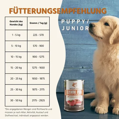 Wildfang 6 x 800 g — Pâtée chien B.A.R.F., 70 % viande, sans céréales