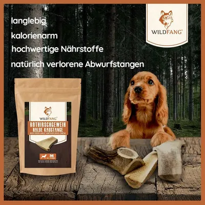 Wildfang — Demi-bois de cerf à mâcher, 100 % naturel Wildfang — Demi-bois de cerf à mâcher, 100 % naturel