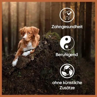 Wildfang «Bienvenue aux chiens errants» pour chiots Wildfang «Bienvenue aux chiens errants» pour chiots