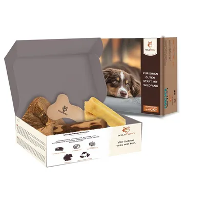 Wildfang Pack Chiot «Jungspund» — 4 articles à mâcher naturels