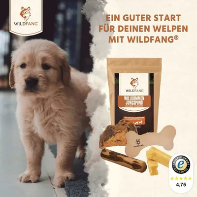 Wildfang Pack Chiot «Jungspund» — 4 articles à mâcher naturels Wildfang Pack Chiot «Jungspund» — 4 articles à mâcher naturels