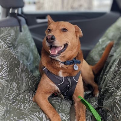 Molly Mutt Housse de Siège Auto Style Hamac Panama