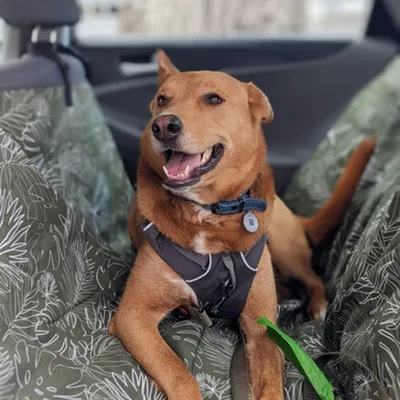 Molly Mutt Autositzbezug Panama Molly Mutt Autositzbezug Panama