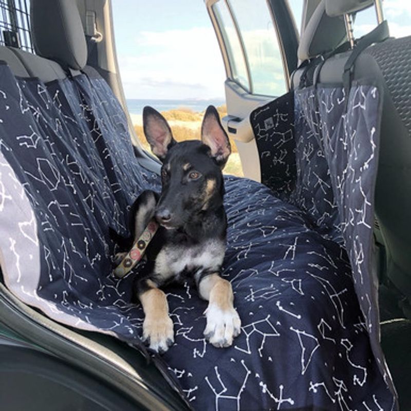 Molly Mutt Autositzbezug Rocketman