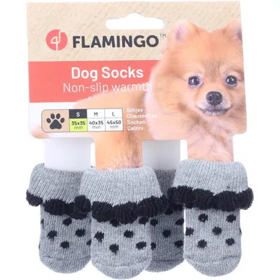 Chaussettes Asia taille S 4 pièces Grise pour chien