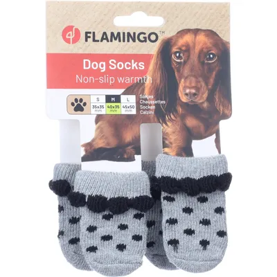 Chaussettes Asia taille M 4 pièces Grise pour chien