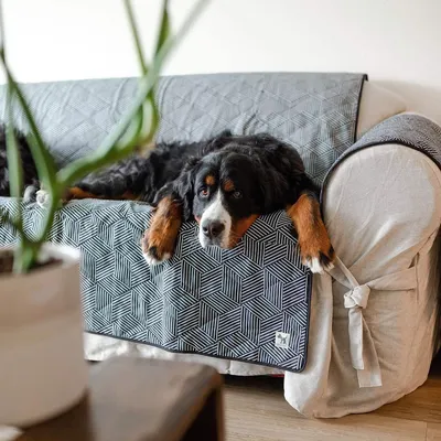 Molly Mutt Housse de canapé Rough Gem Molly Mutt Housse de canapé Rough Gem