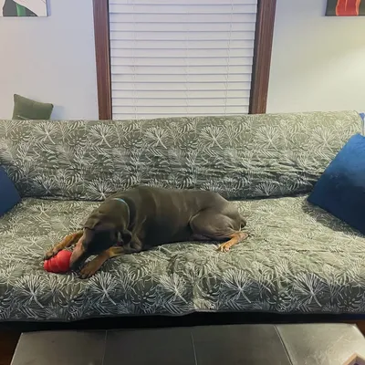 Molly Mutt Housse de canapé Panama