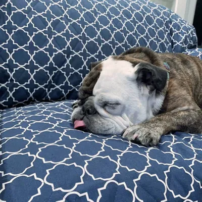 Molly Mutt Housse de canapé Romeo & Juliet