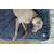 Molly Mutt Housse de Lit Organique pour Chien et Chat Dragonstone Molly Mutt Housse de Lit Organique pour Chien et Chat Dragonstone