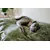 Molly Mutt Housse de Lit pour Chien et Chat Panama Molly Mutt Housse de Lit pour Chien et Chat Panama