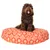 Molly Mutt Housse de Lit pour Chien et Chat Papillon