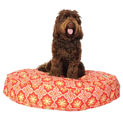 Molly Mutt Housse de Lit pour Chien et Chat Papillon