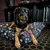 Molly Mutt Housse de Lit pour Chien et Chat Friday Morning