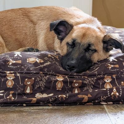 Molly Mutt Housse de Lit pour Chien et Chat Gorgeous Beasts