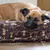 Molly Mutt Housse de Lit pour Chien et Chat Gorgeous Beasts Molly Mutt Housse de Lit pour Chien et Chat Gorgeous Beasts