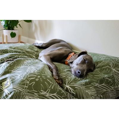 Molly Mutt Housse de Lit pour Chien et Chat Panama