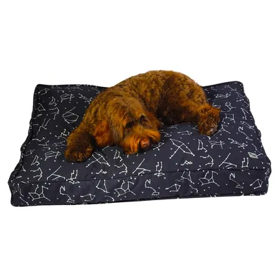 Molly Mutt Housse de Lit pour Chien et Chat Rocketman Molly Mutt Housse de Lit pour Chien et Chat Rocketman