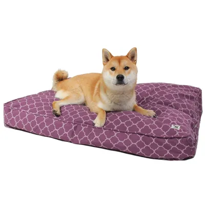 Molly Mutt Housse de Lit pour Chien et Chat Royals