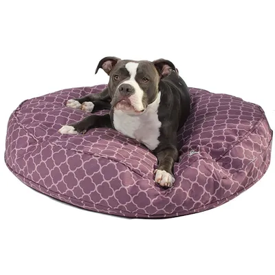 Molly Mutt Housse de Lit pour Chien et Chat Royals