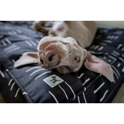 Molly Mutt Housse de Lit pour Chien et Chat Dreams