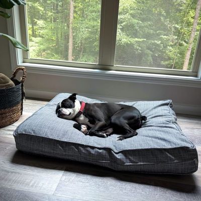 Molly Mutt Housse de Lit pour Chien et Chat River