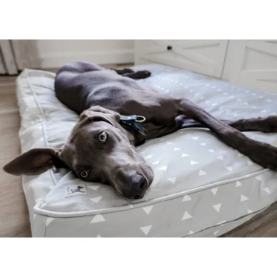 Molly Mutt Housse de Lit pour Chien et Chat Be Still