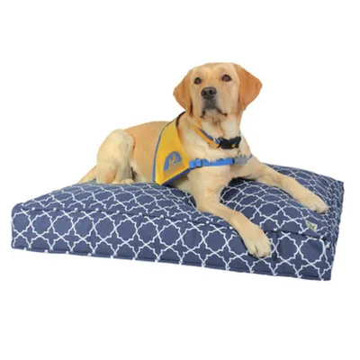Molly Mutt Housse de Lit pour Chien et Chat Romeo & Juliet