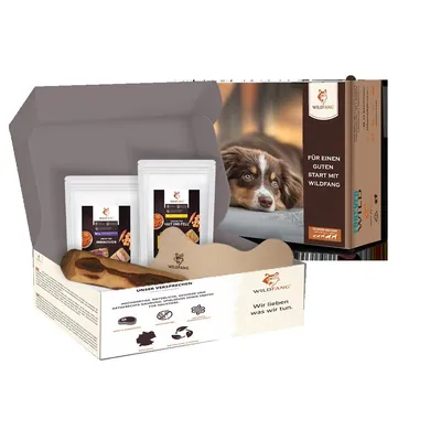 Wildfang Forfait Promenade du soir – Collations et jouets Wildfang Forfait Promenade du soir – Collations et jouets