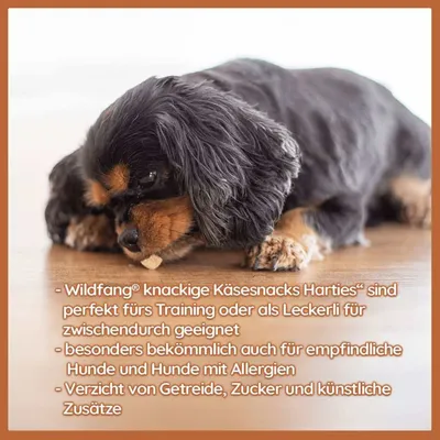 Wildfang Harties - Friandises au fromage pour chiens - Sans céréales