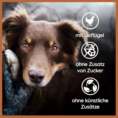 Wildfang Harties - Friandises au fromage pour chiens - Sans céréales